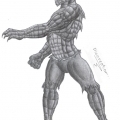 Waylon Jones - Killer Croc